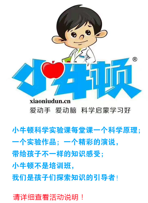 微信800元抢小牛顿科学初级实验课（含教具费）小程序游戏
