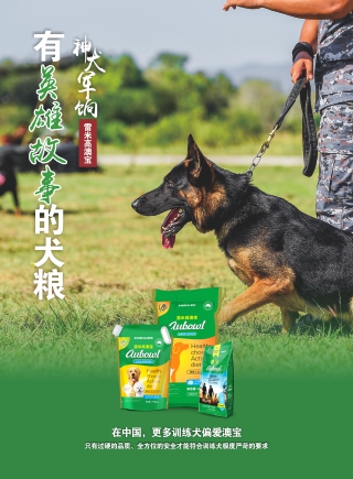 跳一跳，为爱宠赢取活力粮微信小游戏