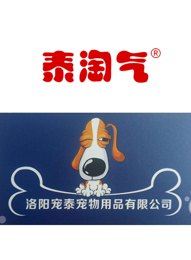 洛阳宠泰-知识大课堂微信小游戏