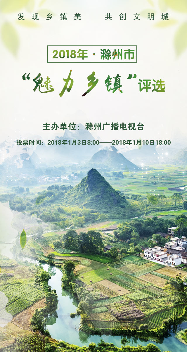 微信投票，2018年滁州市“魅力乡镇”评选投票案例