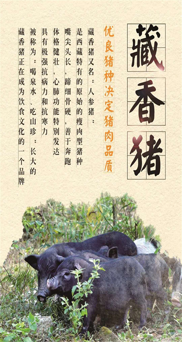 微信恒大食府迎新春砸金蛋活动小程序游戏开发案例