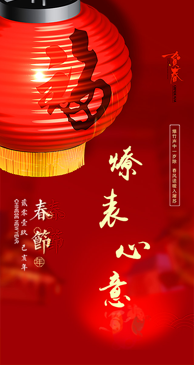 微信投票，新年初始  燎表心意投票案例