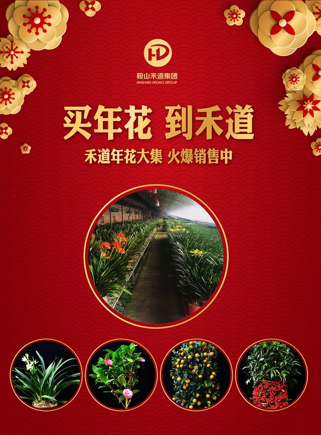 微信禾道年花大集，限量9折优惠！小程序游戏开发案例