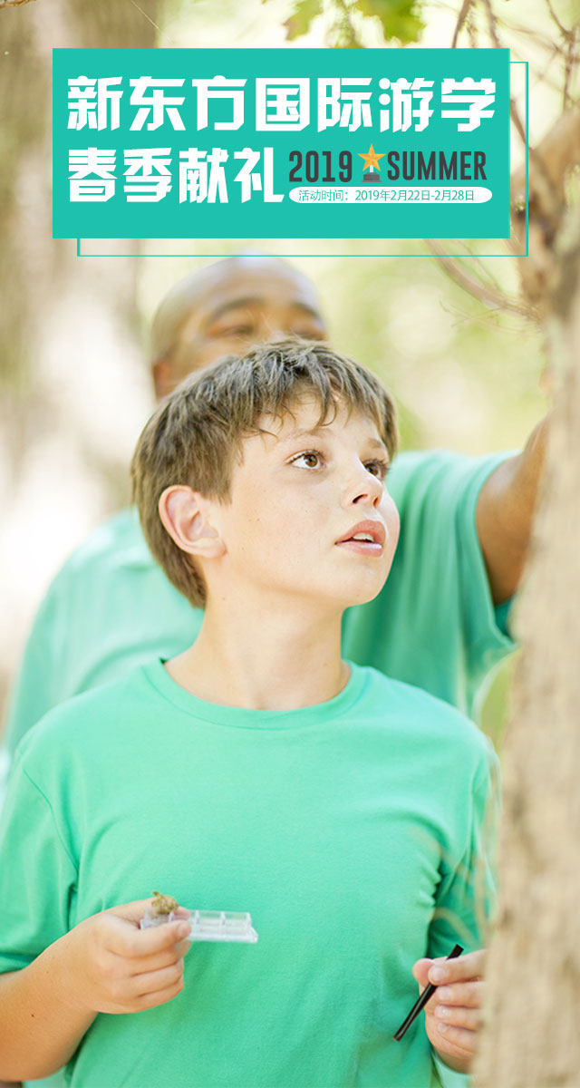 微信2019新东方国际游学春季献礼小程序游戏开发案例
