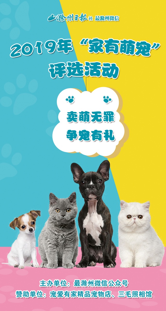 微信投票，家有萌宠评选活动投票案例