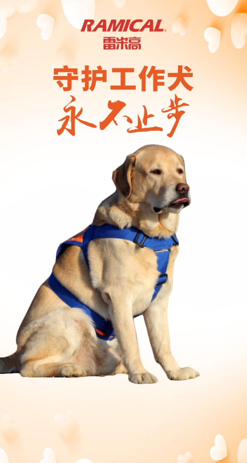 微信工作犬你知多少？小程序游戏开发案例