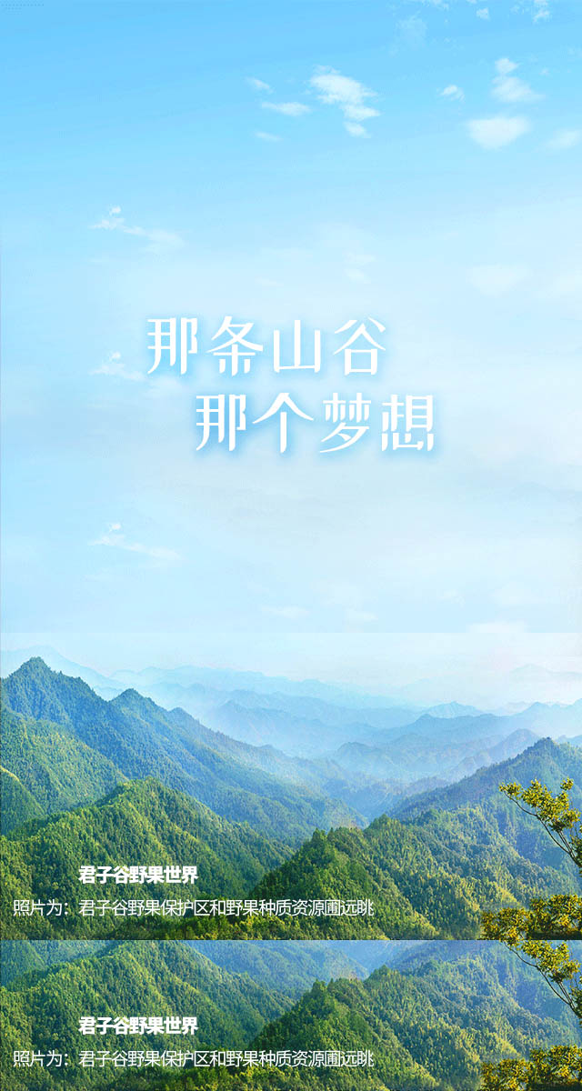 微信野果世界“双旦”大派送小程序游戏开发案例