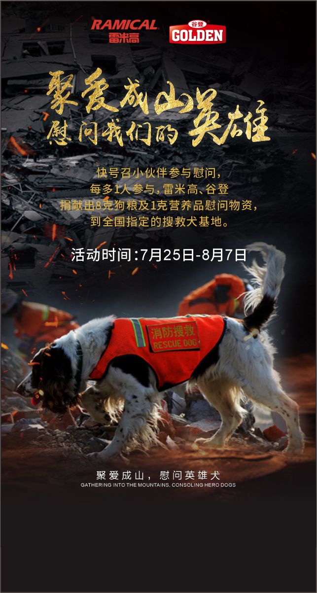 微信聚爱成山，慰问搜救英雄犬小程序游戏开发案例