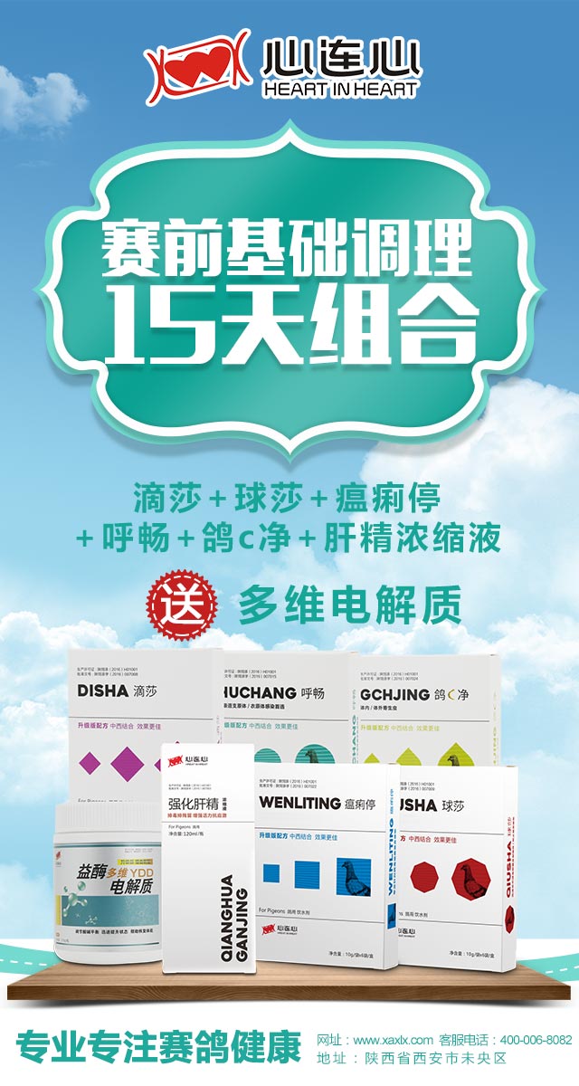 微信心连心七夕疯抢爱鸽基金小程序游戏开发案例