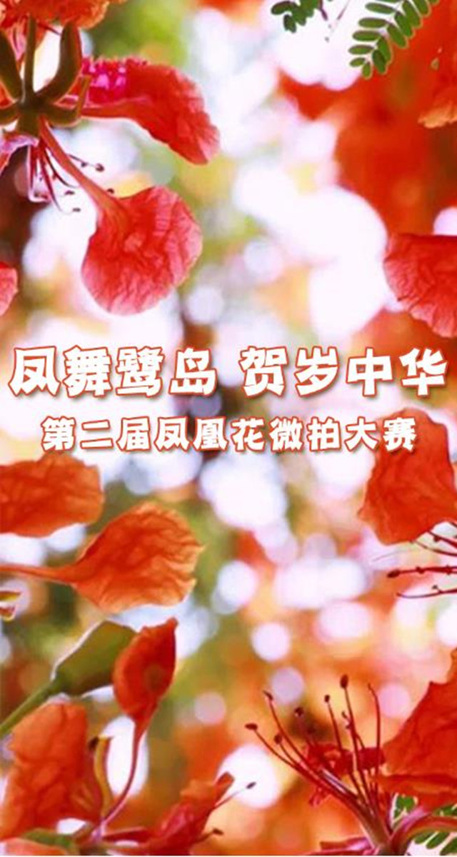 微信咻咻抢红包小程序游戏开发案例