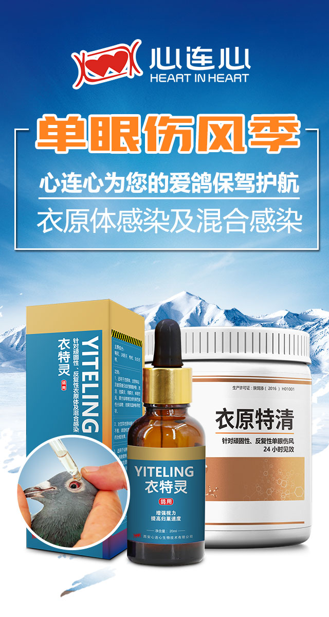 微信618大转盘小程序游戏开发案例