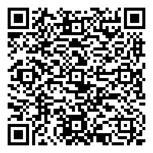 微信Free-小巧玲珑扭蛋机（粤中11月）小程序游戏二维码