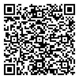 微信德信·君宸双十一红包雨小程序游戏二维码