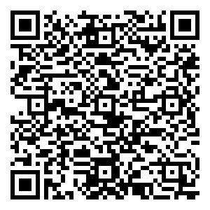 微信Free-小巧玲珑扭蛋机（12月重庆茶园金科永辉）小程序游戏二维码