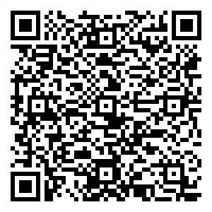 微信FREE玲珑装（重点省份---淄博）小程序游戏二维码