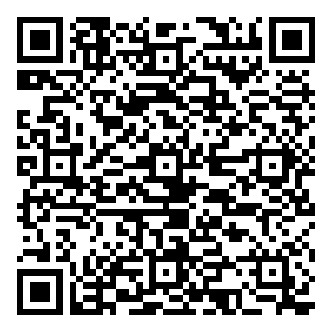 微信网络安全接粽大赛小程序游戏二维码
