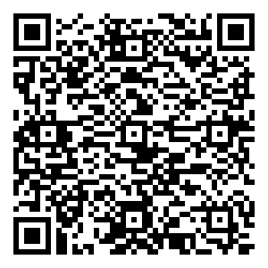 微信武皇大冒险小程序游戏二维码