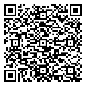 微信盛隆·涅阳府VIP抽抽乐小程序游戏二维码