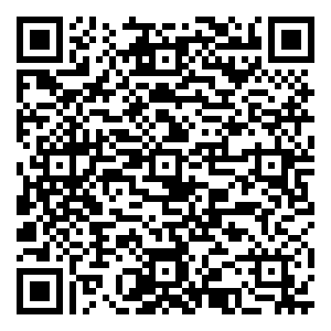 微信11月10日马术票小程序游戏二维码