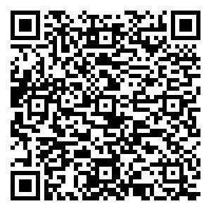 微信金棕榈-欢乐大冒险小程序游戏二维码