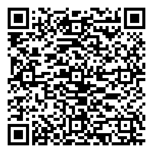 微信曙光接粽大赛小程序游戏二维码