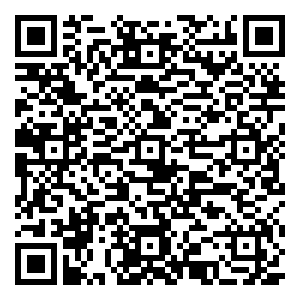 微信端午时节,最是