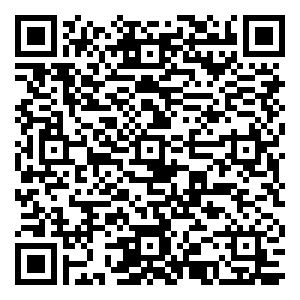 微信东厦100彩蛋节Vol.1小程序游戏二维码