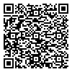 微信 限时秒杀 vivo元旦大放送小程序游戏二维码