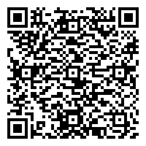 微信【省钱乐】追踪圣诞美人小程序游戏二维码