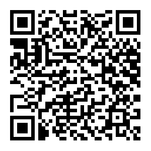 微信投票，我在萌豆学音乐投票案例二维码