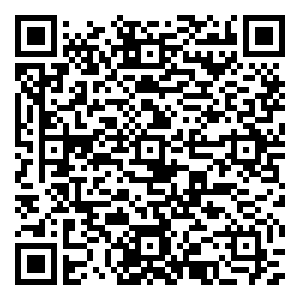 微信好礼接“粽”而来小程序游戏二维码