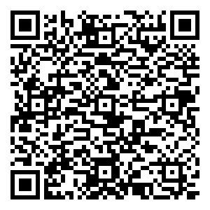 微信盛隆·涅阳府VIP抽抽乐小程序游戏二维码