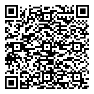 微信车主沪牌查询鉴定中心小程序游戏二维码