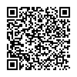 微信投票，520为爱发声| 新希望图文征选活动投票案例二维码