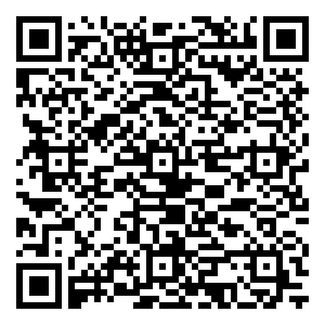 微信圣迪奥连衣裙 小程序游戏二维码