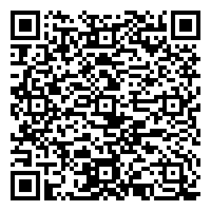 微信寻找最in美小狮小程序游戏二维码