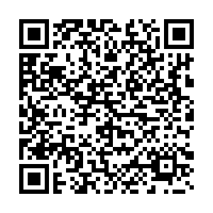 微信投票，2019第十四届海口万春会 · 新春最美投票案例二维码