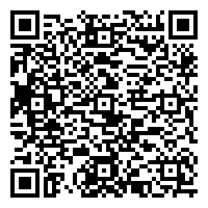 微信麦吉多大作战小程序游戏二维码