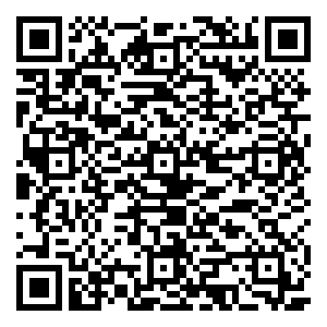 微信踏青撞好运小程序游戏二维码