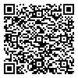 微信国泰君安证券-元宵奇妙夜小程序游戏二维码