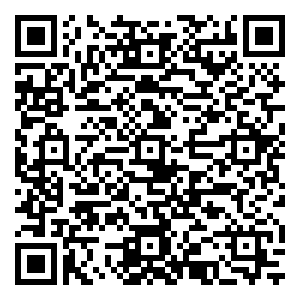 微信【视客】圣诞许愿树小程序游戏二维码