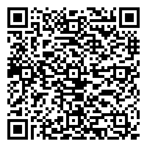 微信推金币 赢防虫“粽”坠  小程序游戏二维码