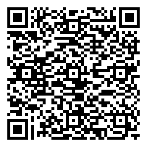 微信双11出门嗨购-老司机带带我小程序游戏二维码