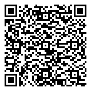 微信追踪圣诞美人小程序游戏二维码