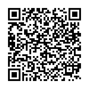 微信投票，梨花摄影大赛投票案例二维码