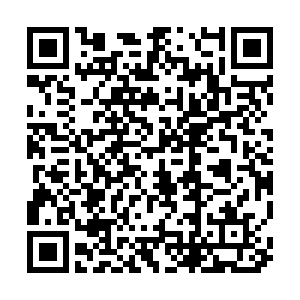 微信投票，元宵巡演优秀节目评选投票案例二维码