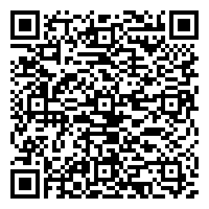 微信启迪赛龙舟 粽子全城送小程序游戏二维码