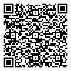 微信Free-小巧玲珑天生大容量-神奇扭蛋机（济南1月份振兴街）小程序游戏二维码