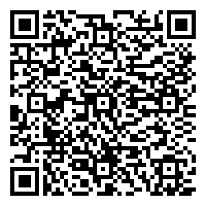 微信南同华“诞”小程序游戏二维码