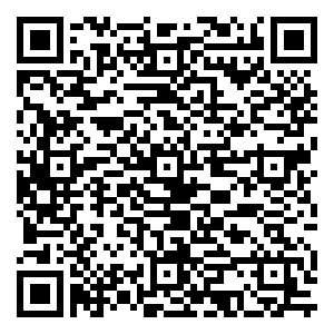 微信道福蓝印高汤锅3.5L小程序游戏二维码